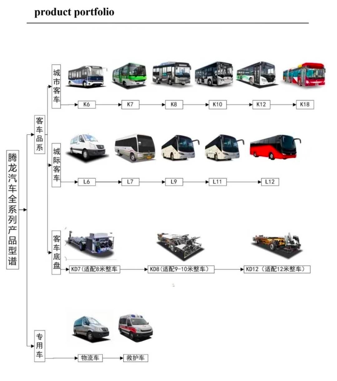 Portafolio de buses, vans y ambulancias